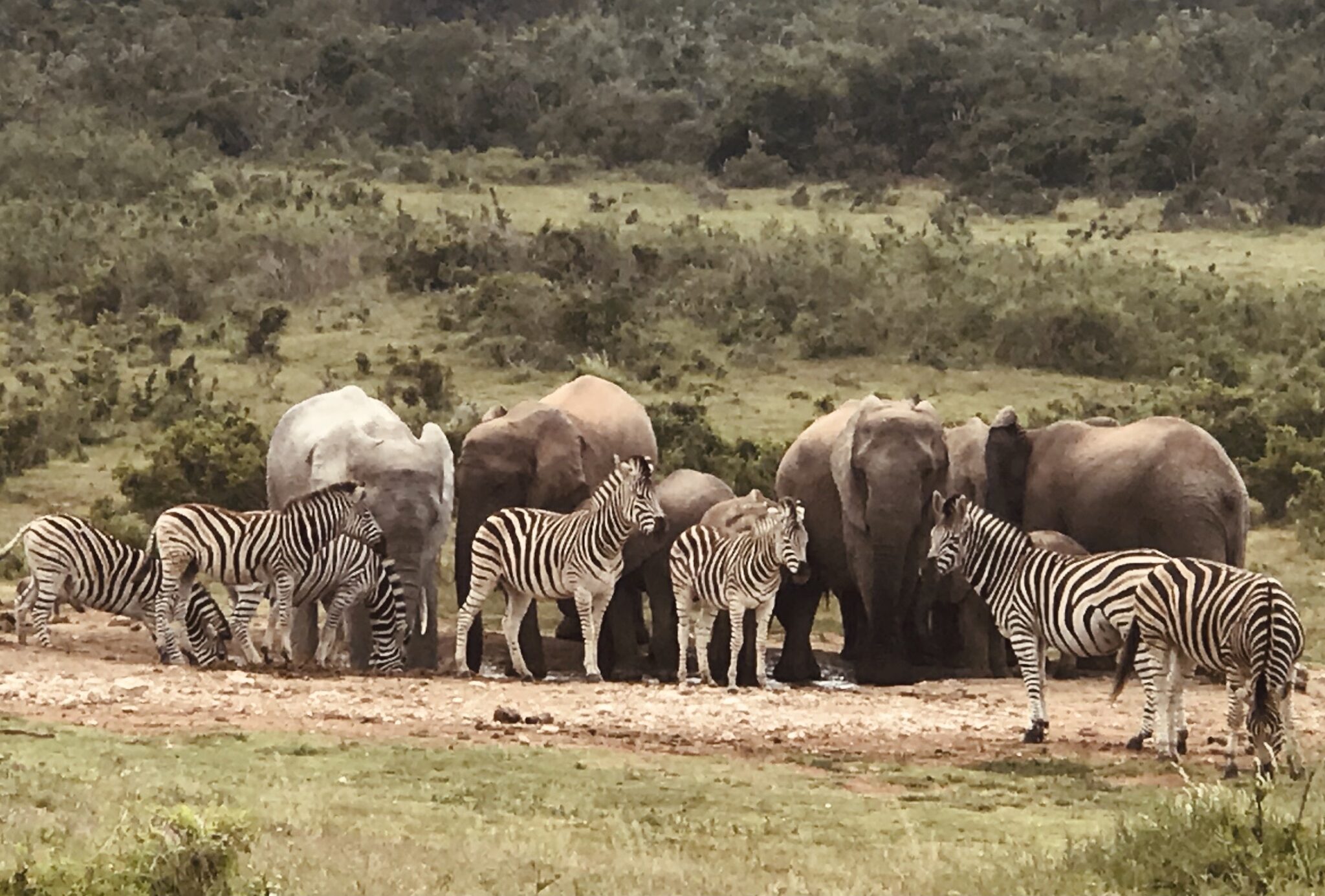 ÁFRICA · info@gozandodelviaje.com · En Gozando del Viaje compartimos contigo todos los lugares del mundo que hemos visitado y te contamos en primera persona cómo hacer que tu viaje marque la diferencia. Elige un destino y nosotros te ayudamos a sacarle el mejor. Ven a gozar del Viaje!