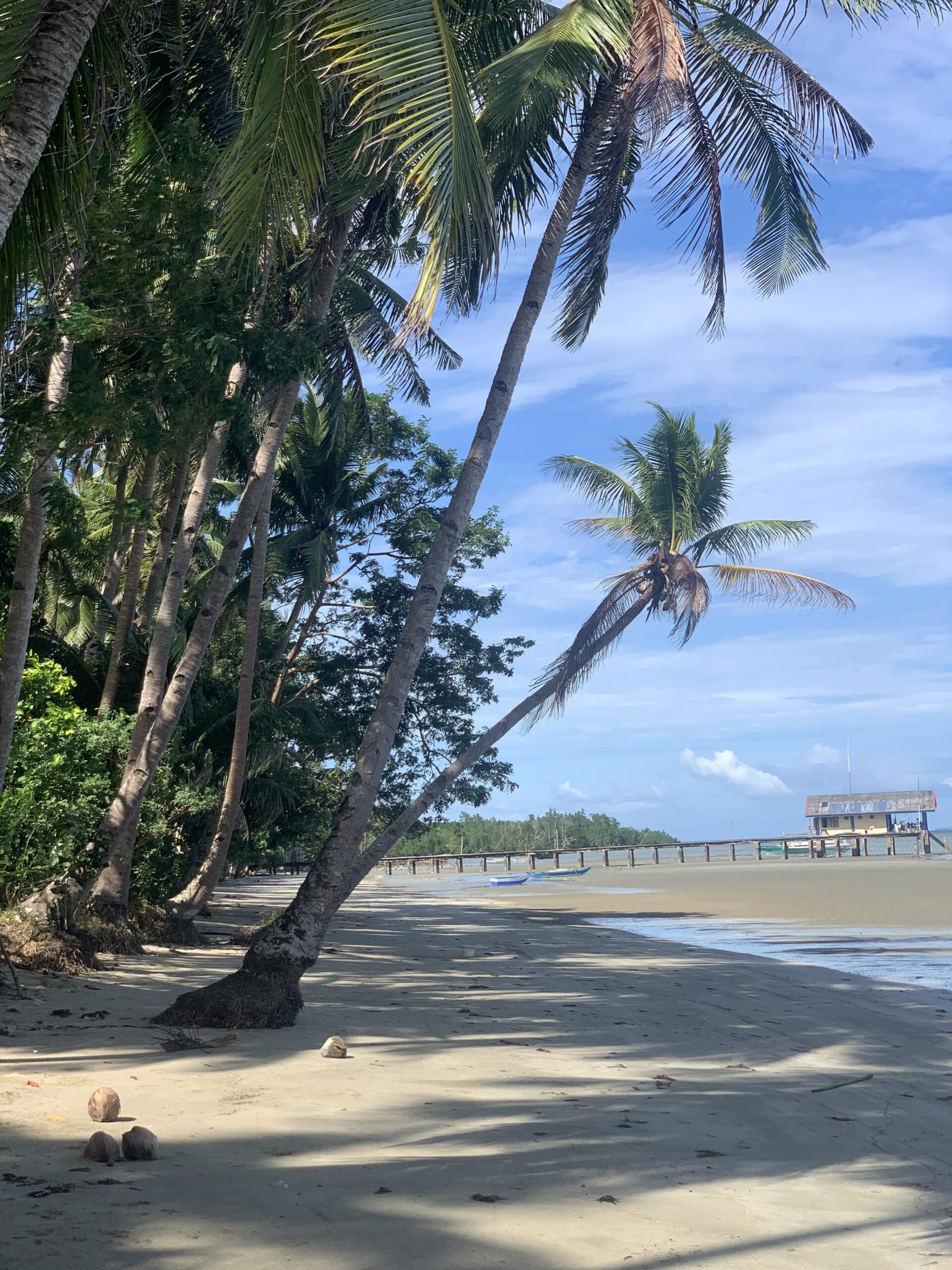 ASIA · info@gozandodelviaje.com · En Gozando del Viaje compartimos contigo todos los lugares del mundo que hemos visitado y te contamos en primera persona cómo hacer que tu viaje marque la diferencia. Elige un destino y nosotros te ayudamos a sacarle el mejor. Ven a gozar del Viaje!